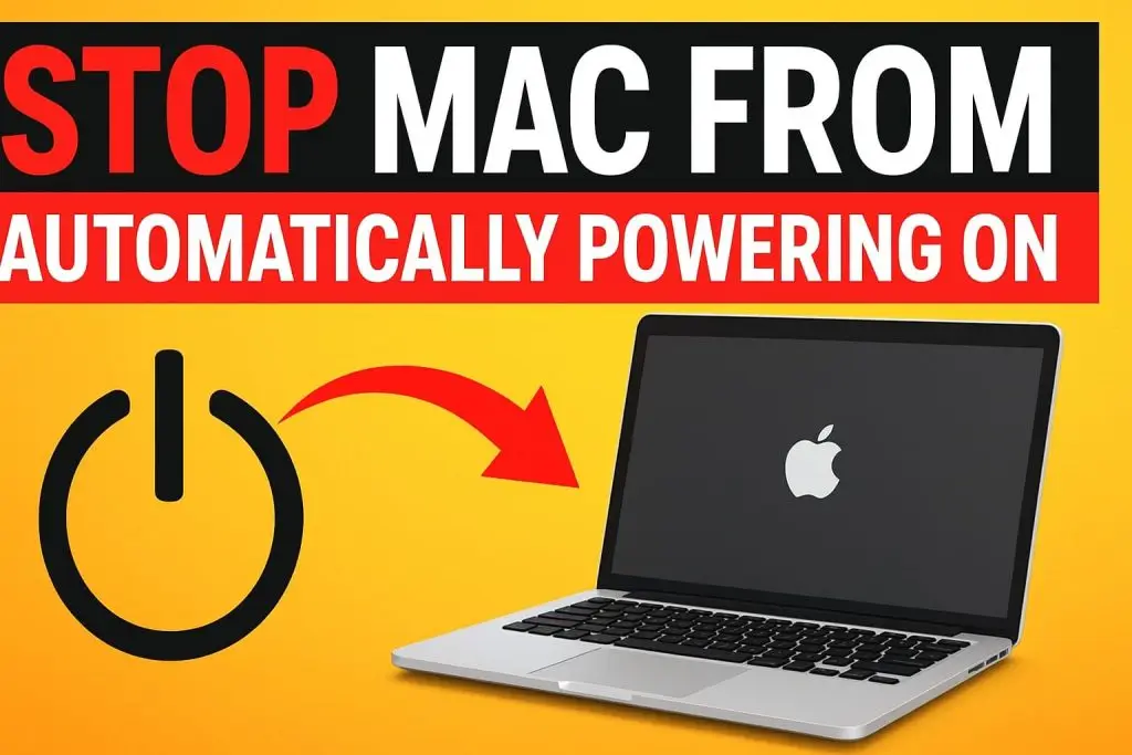 WhatsApp Image 2025-11-04 at 11.44.44 PM