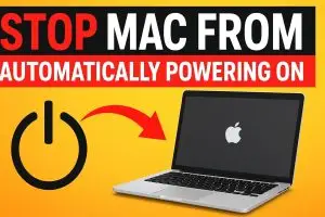 WhatsApp Image 2025-11-04 at 11.44.44 PM